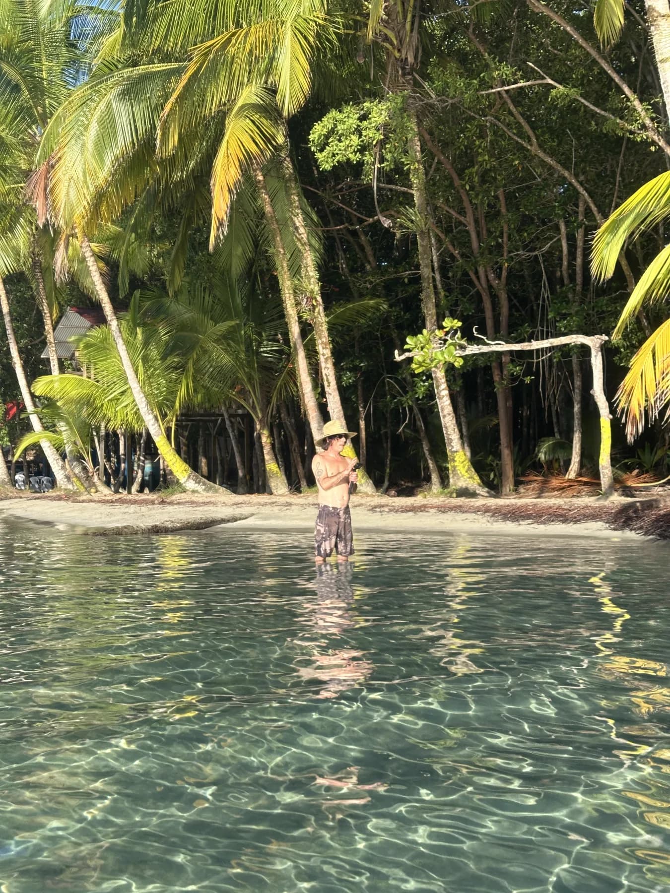 Pêcheur les pieds dans l'eau sur une plage bordée de palmiers, Caraïbes panaméennes