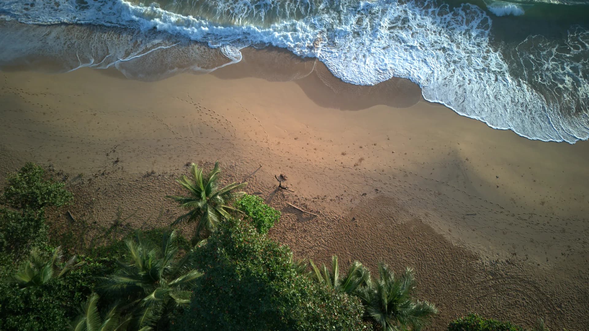Playa salvaje bordeada de jungla vista desde el cielo en la costa caribeña de Panamá