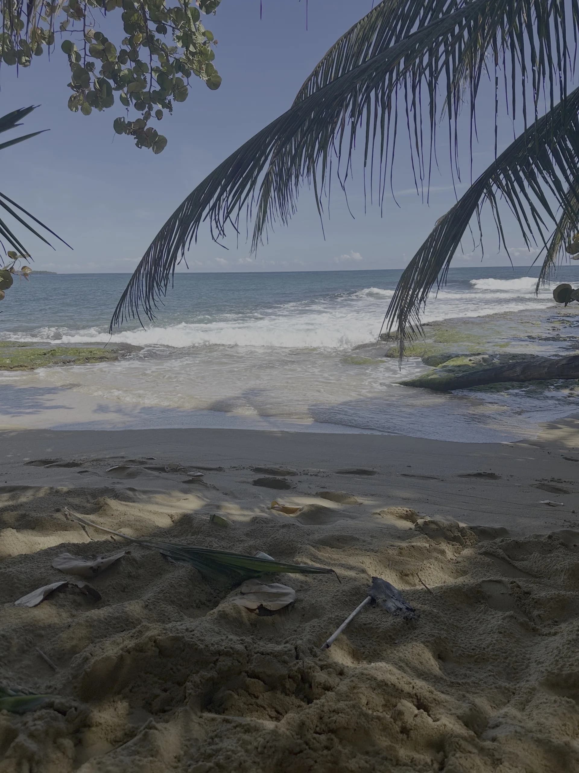 Plage tropicale au Panama, palmiers et eau calme