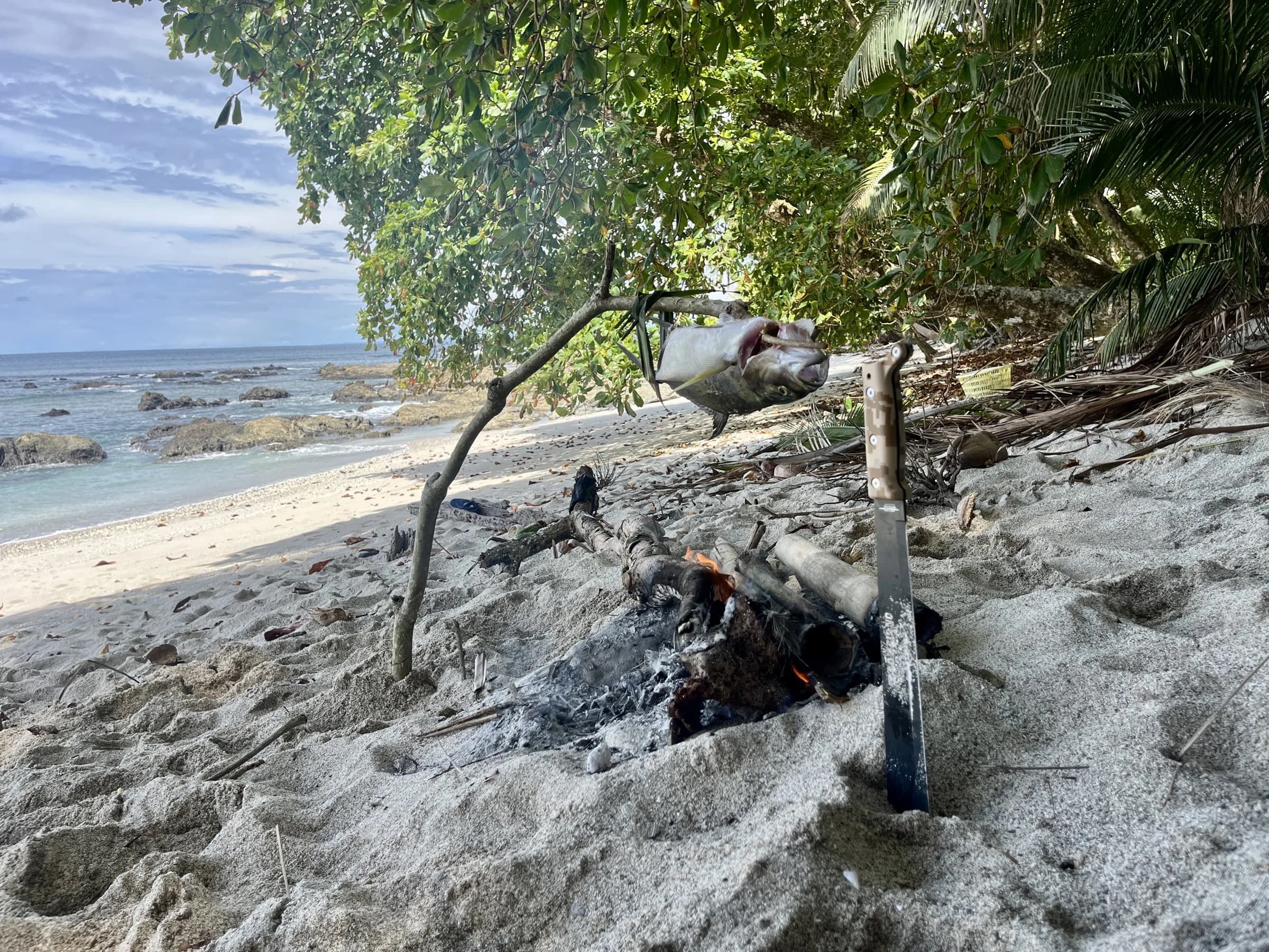 Poisson grillé au feu de bois sur une plage déserte du Pacifique, Panama