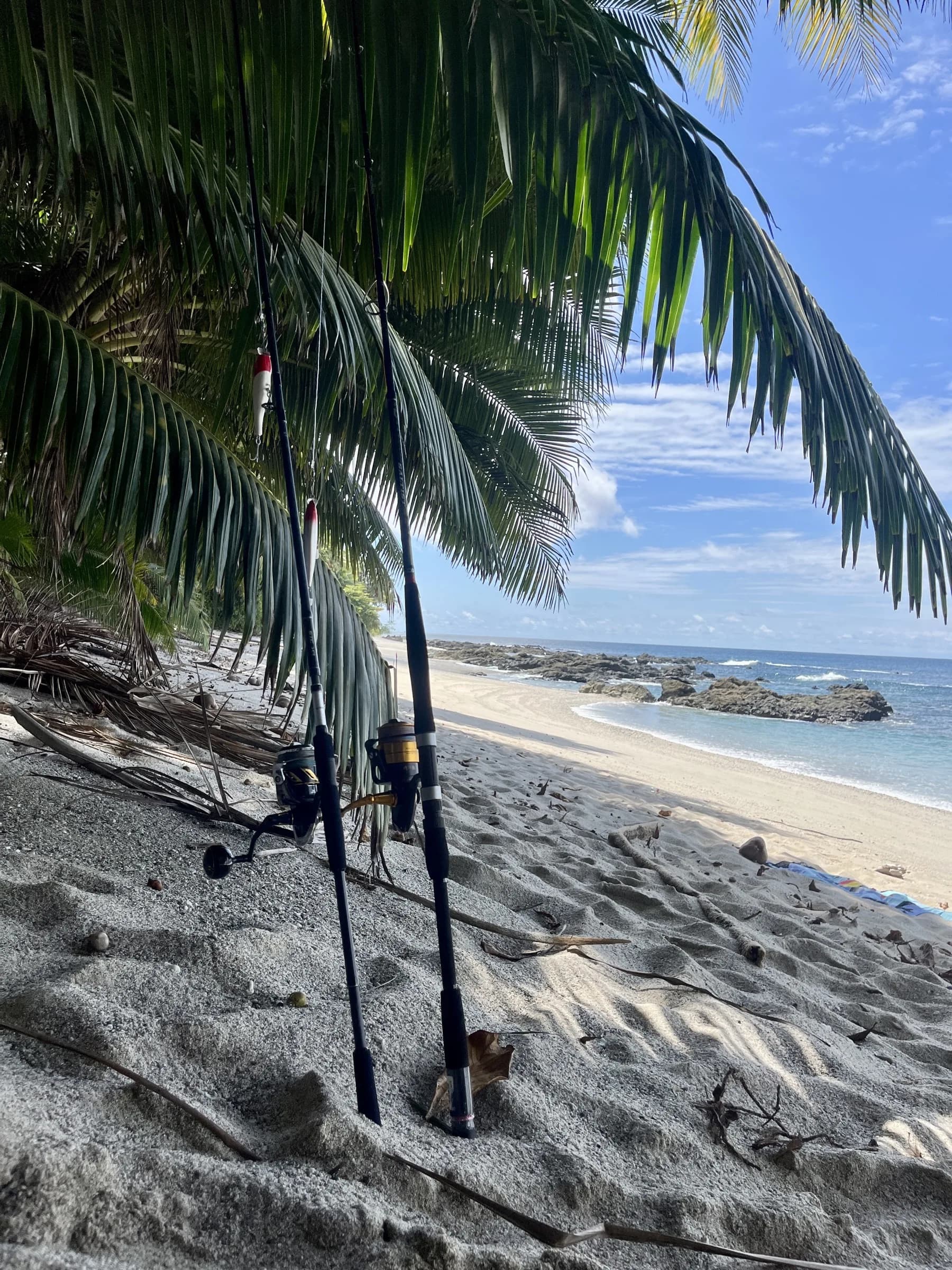 Cannes à pêche sur la plage de sable noir de Montuosa, Pacifique Panama