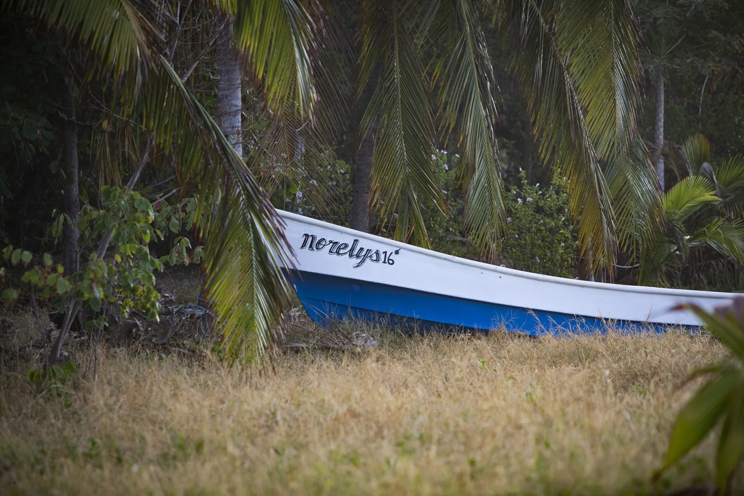 Lancha dans la jungle du Pacifique panaméen