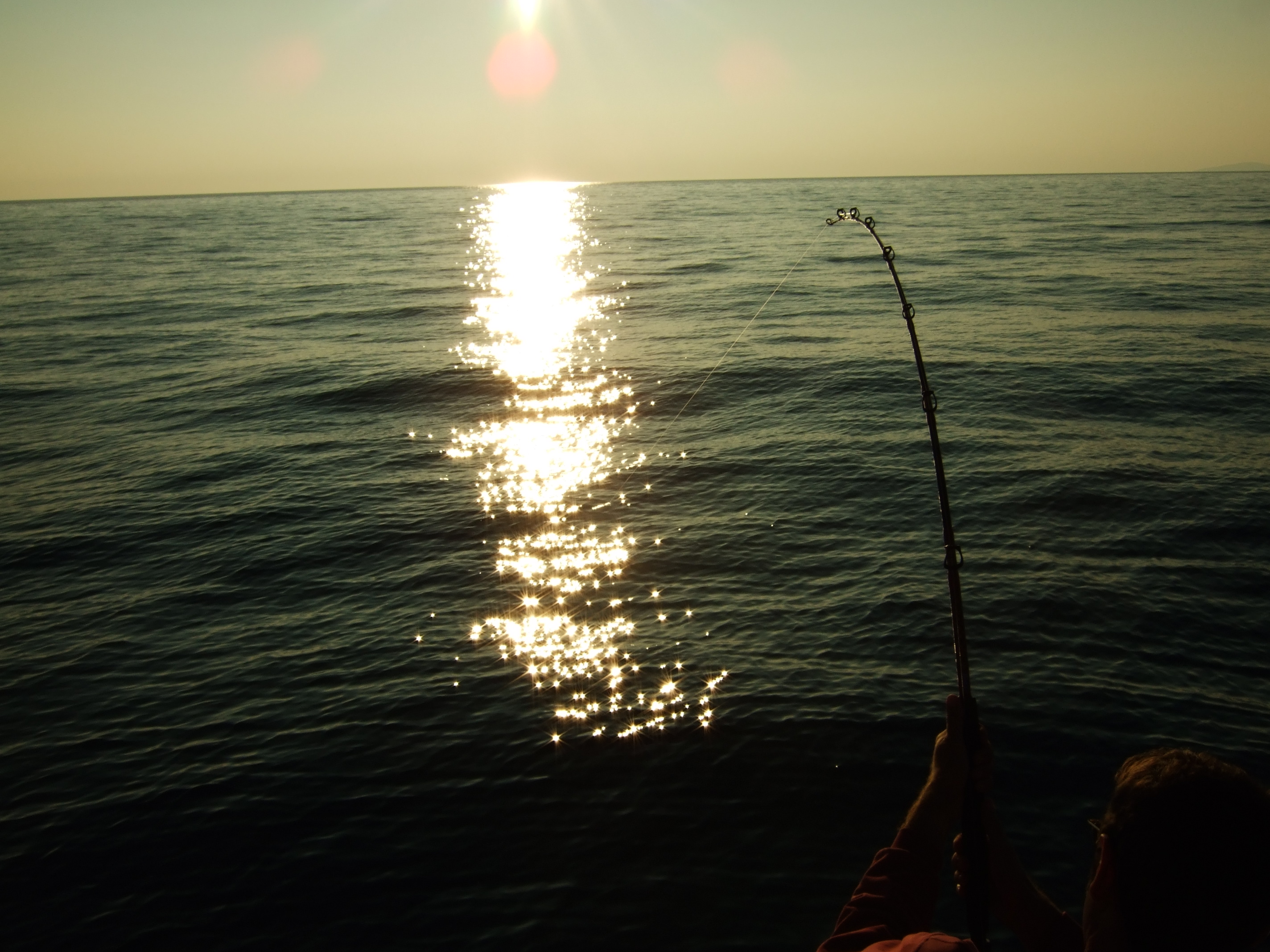 Mediterranean sunrise, surfcasting in Camargue