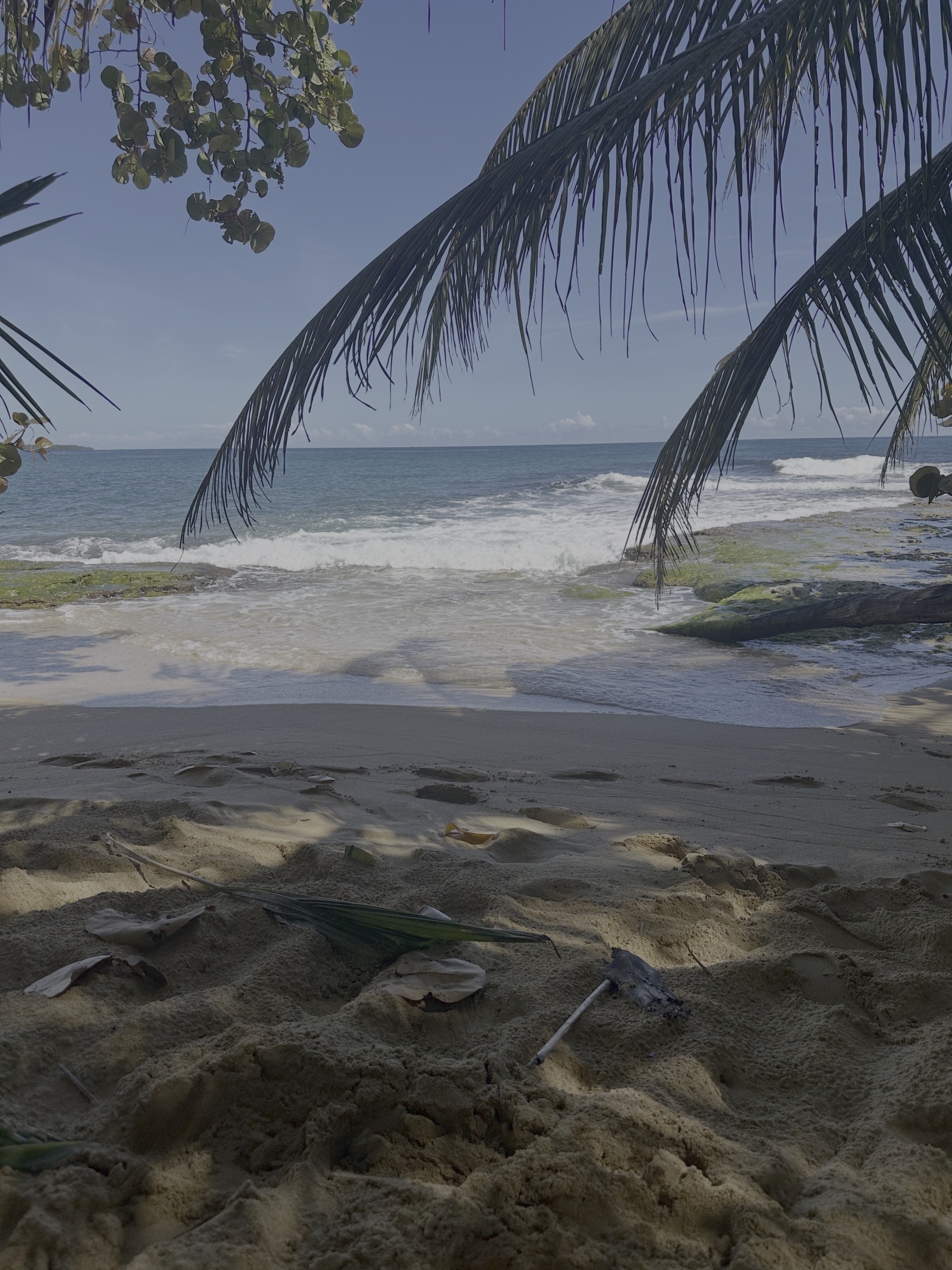 Plage tropicale au Panama, palmiers et eau calme