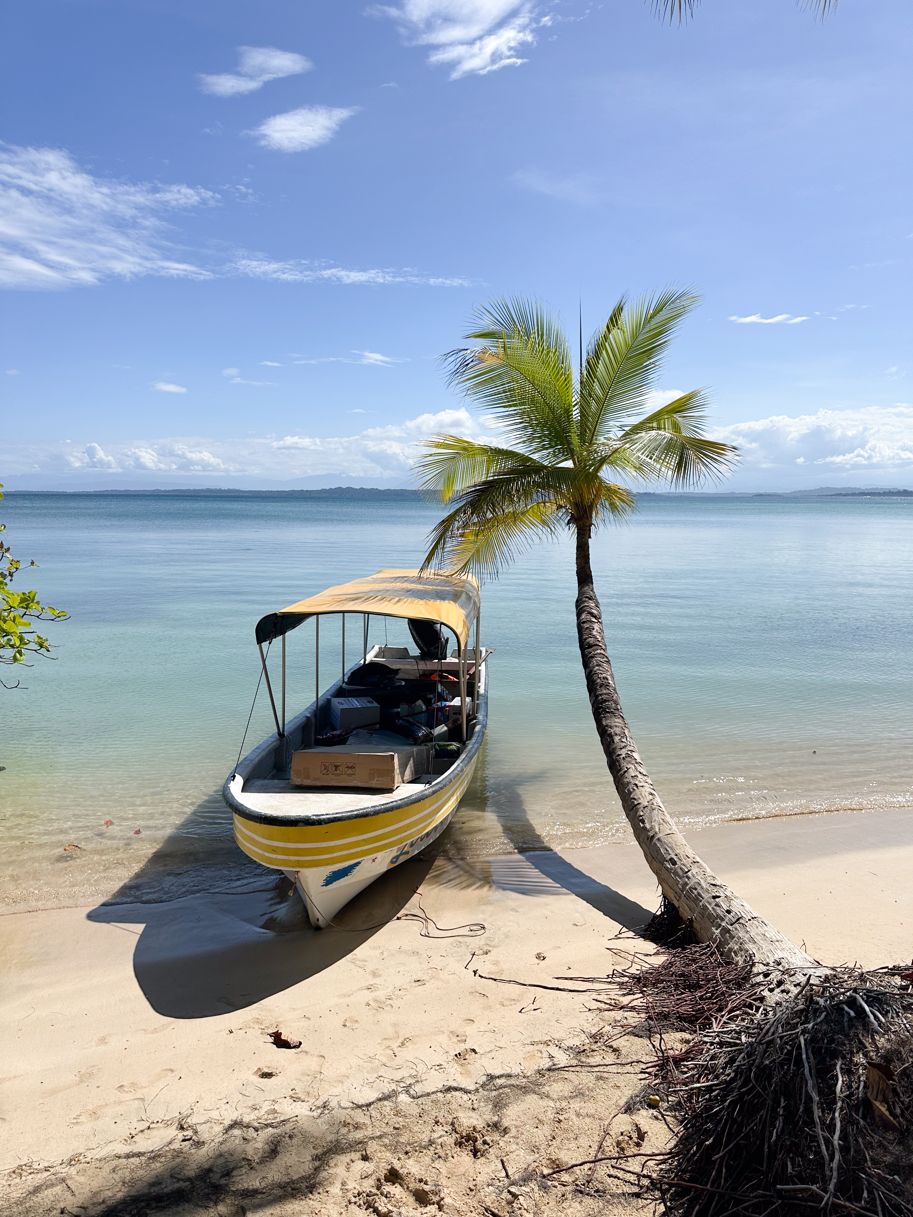 Plage à Bocas del Toro, archipel des Caraïbes au Panama